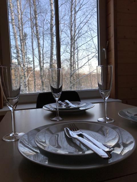 Tientaus 1 Apartments Иматра Экстерьер фото